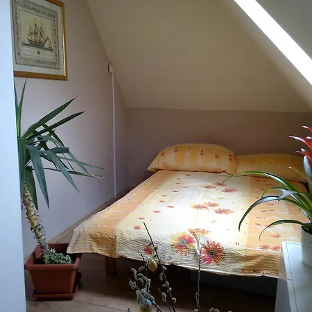 13 Apartmán